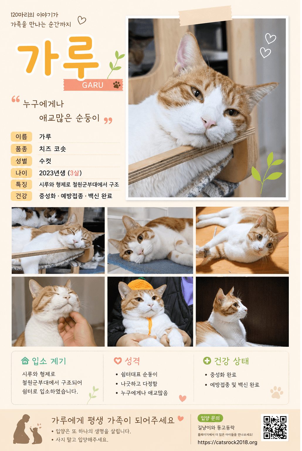입양카드💛