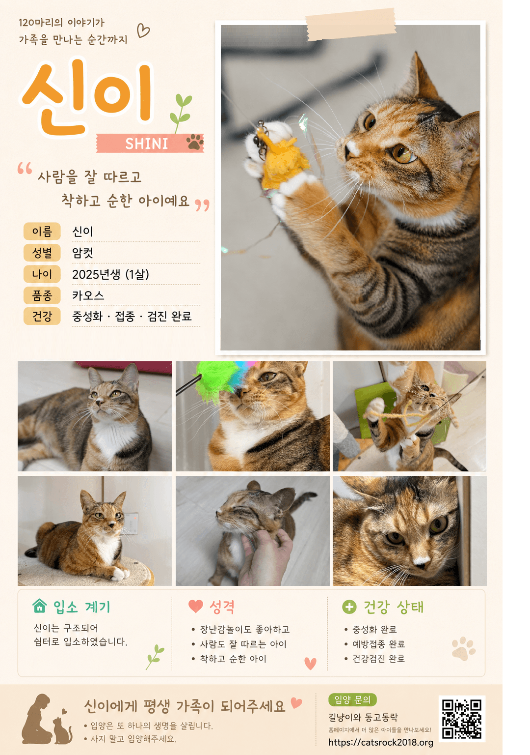 입양카드💛