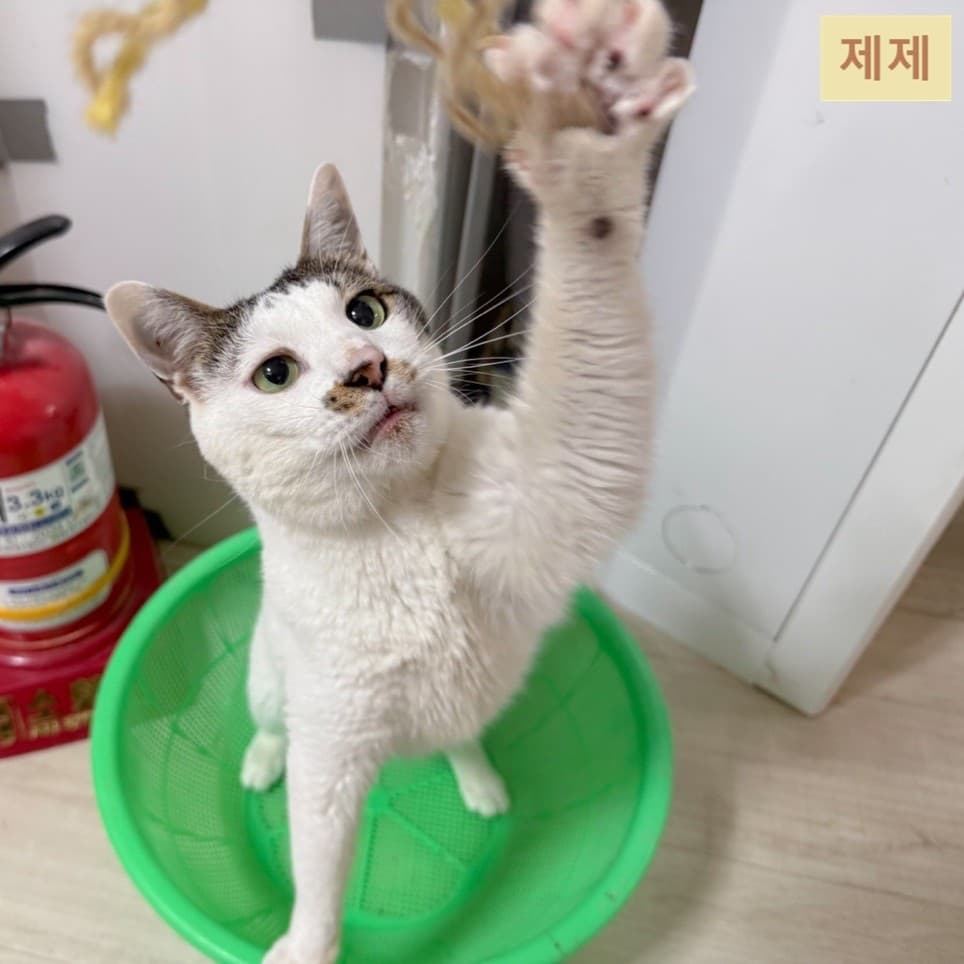 260.07.05 친구들의 하루 💛