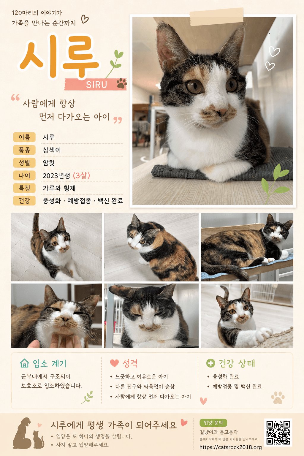 입양카드💛