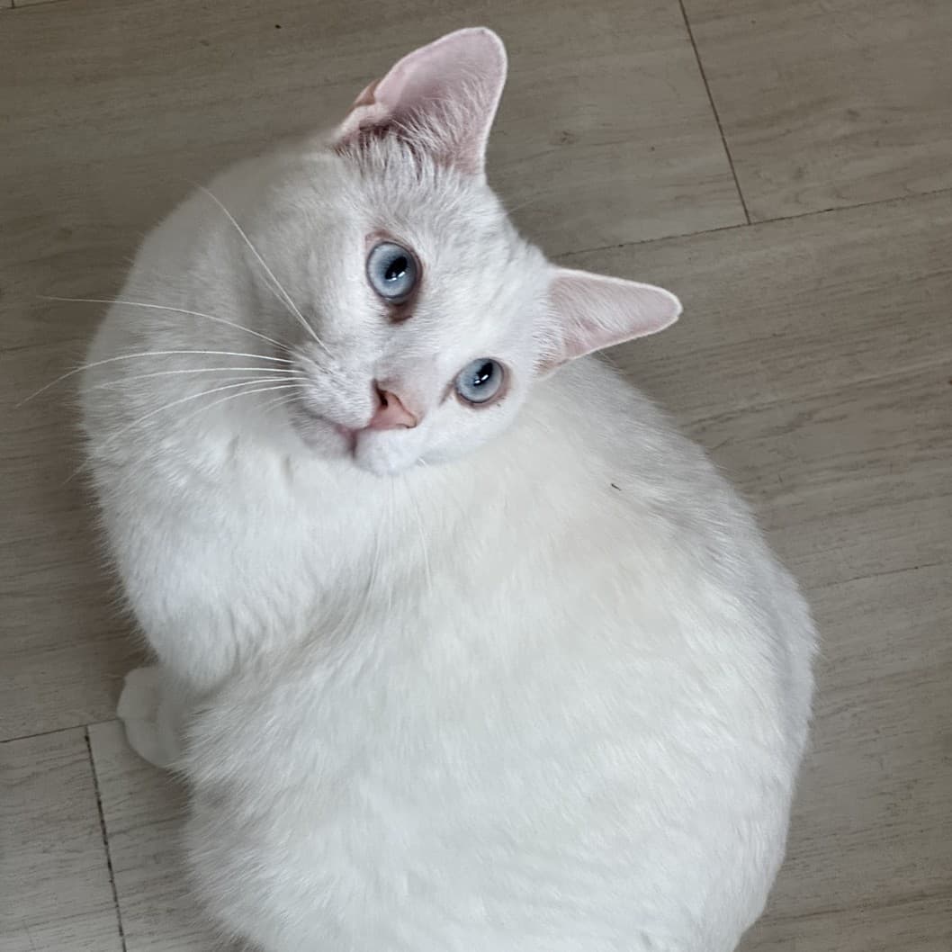 설희 사진 3