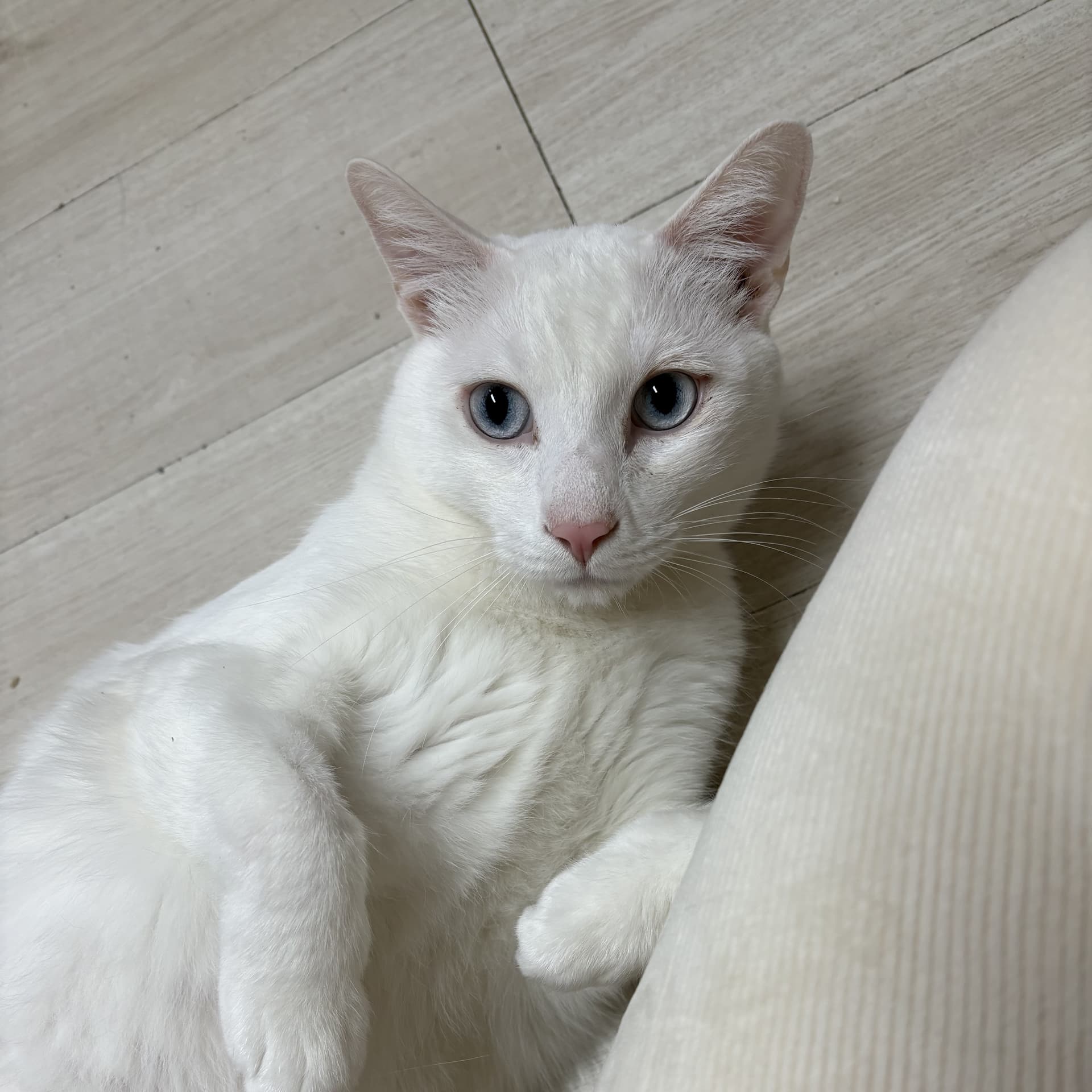 설희 사진 2