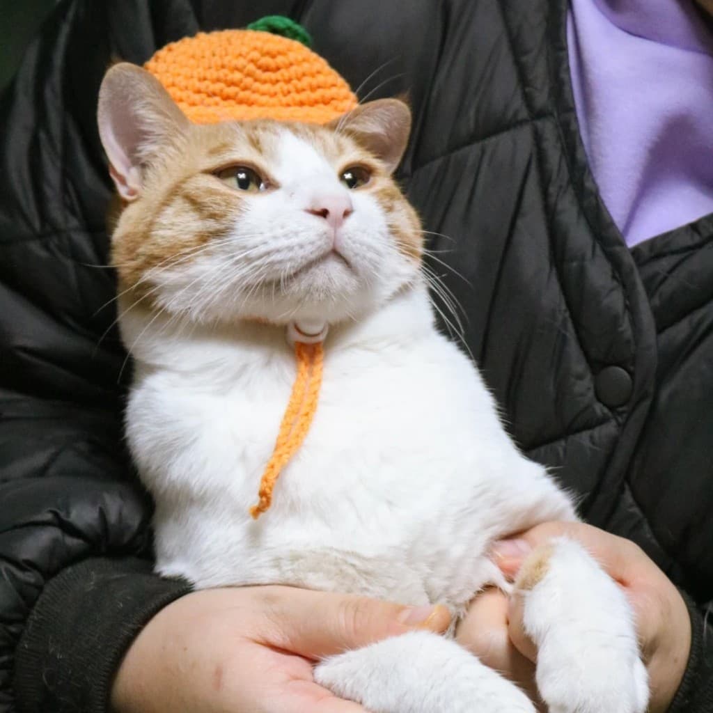 가루의 일상 💛