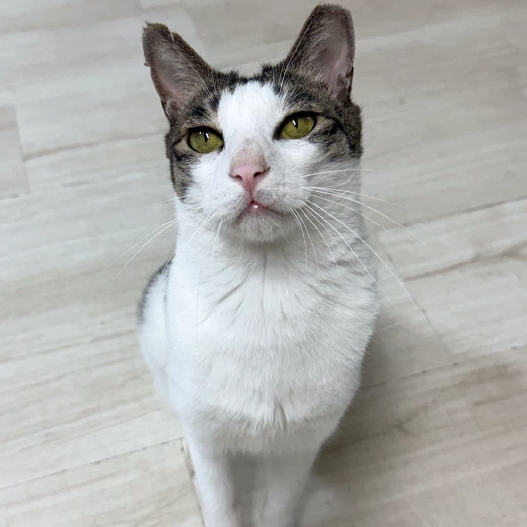 태민  사진 3