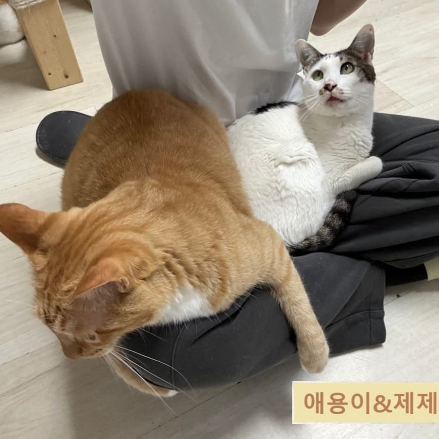 260.07.05 친구들의 하루 💛