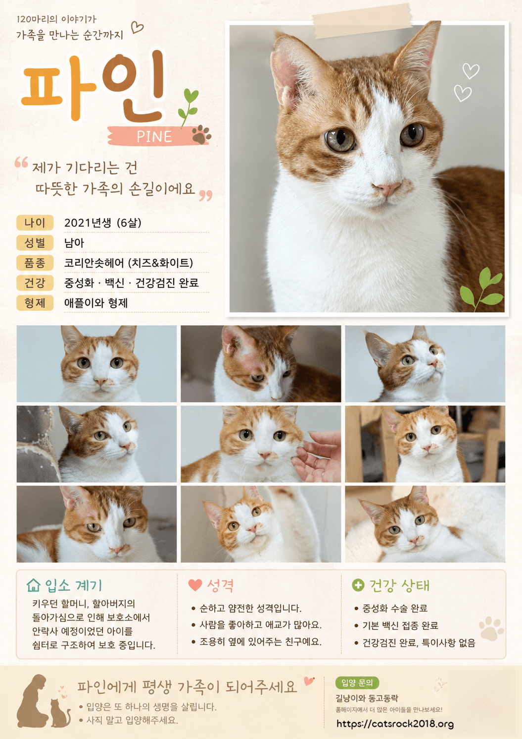 입양카드💛