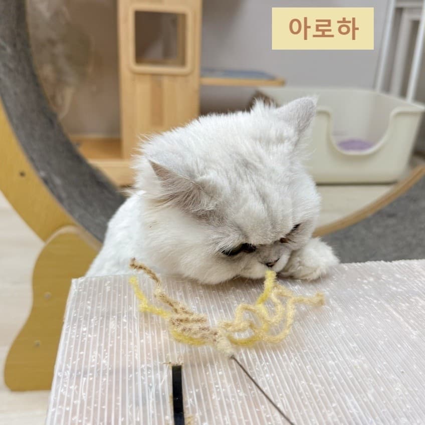260.07.05 친구들의 하루 💛