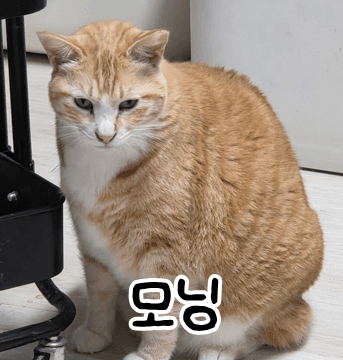모닝  사진 2