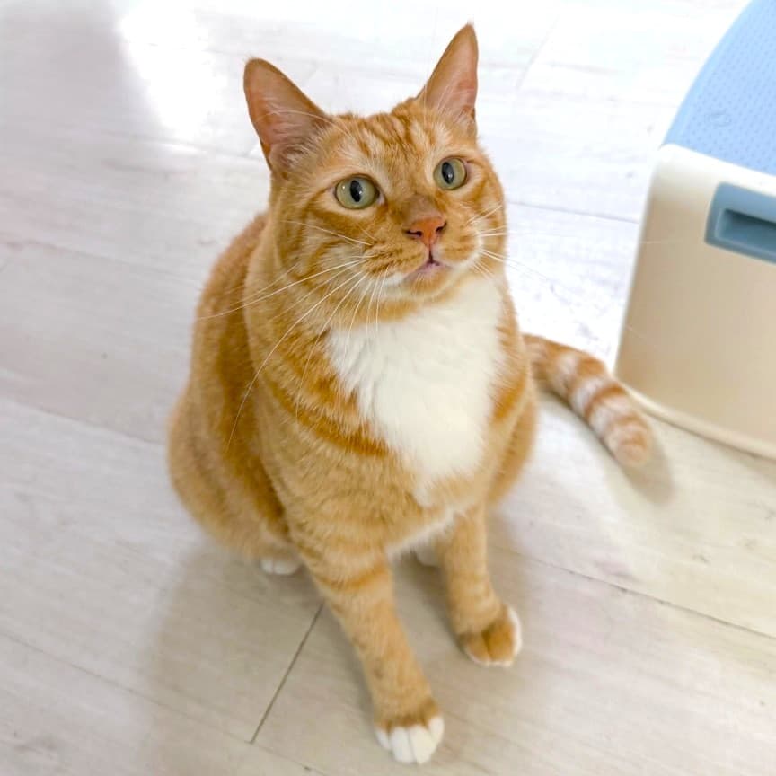 제리 사진 2